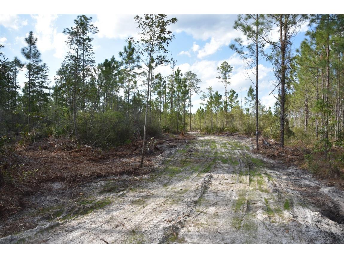 Off Sun Garden Rd Palatka FL 32177 OM698576 image8