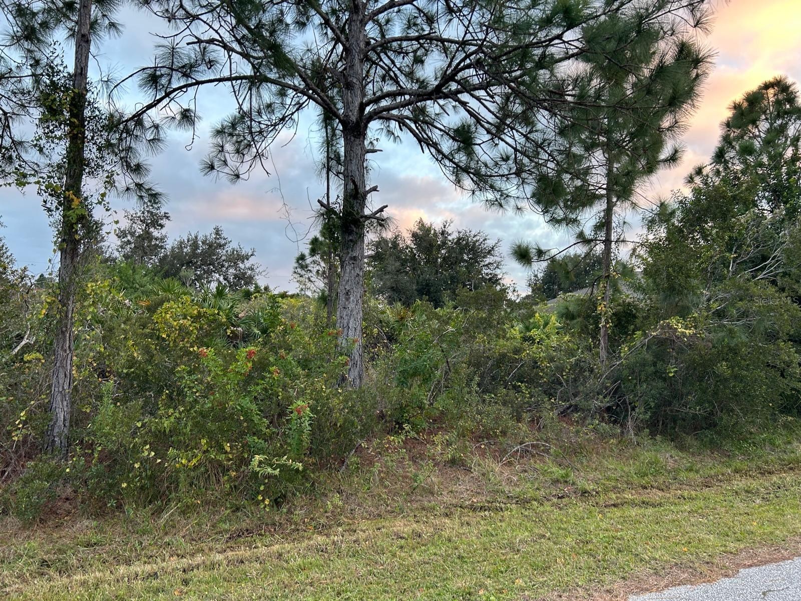 Ohio Road North Port FL 34291 A4680595 image1