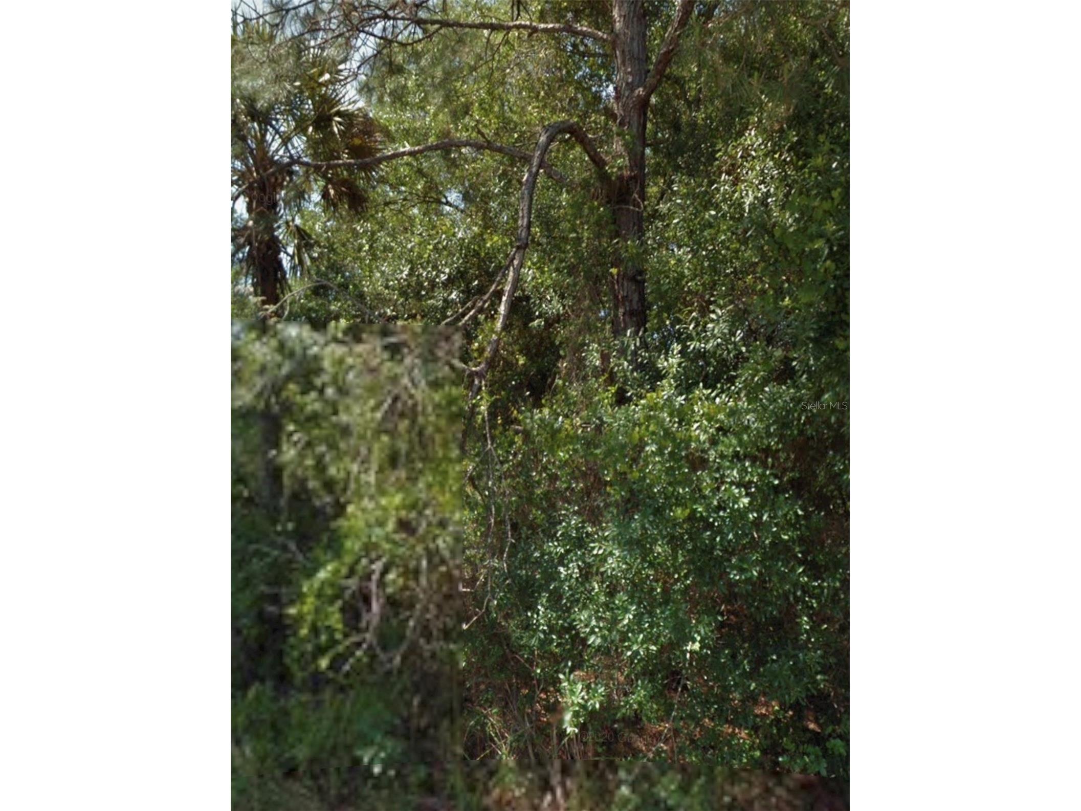 Ohio Road North Port FL 34291 A4692583 image1