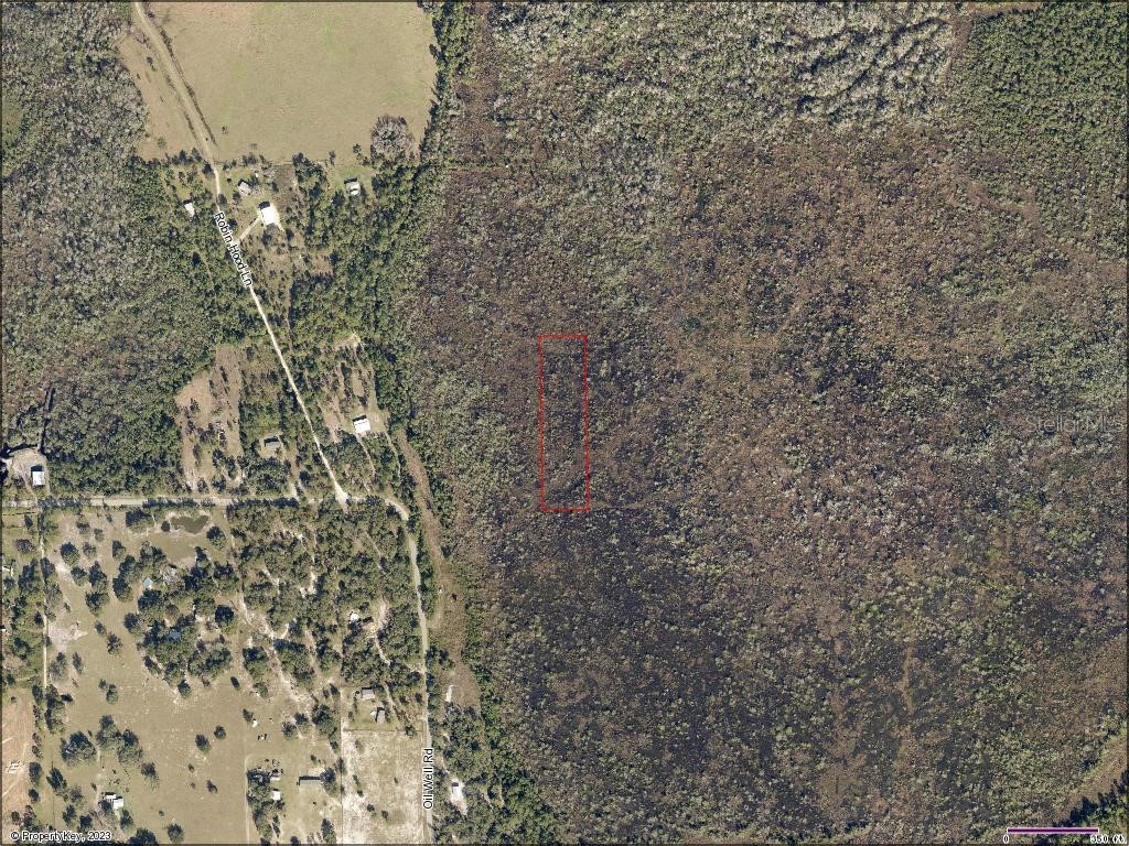 Oil Well Road Clermont FL 34714 S5084479 image1