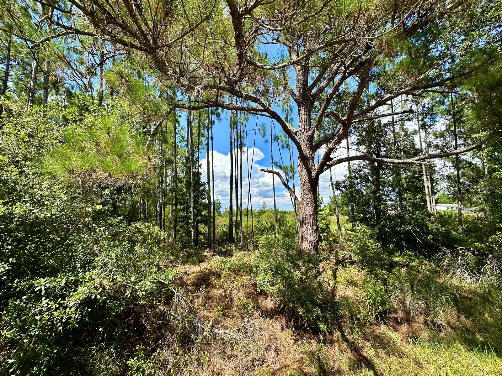 Oil Well Road Clermont FL 34714 G5100577 image1