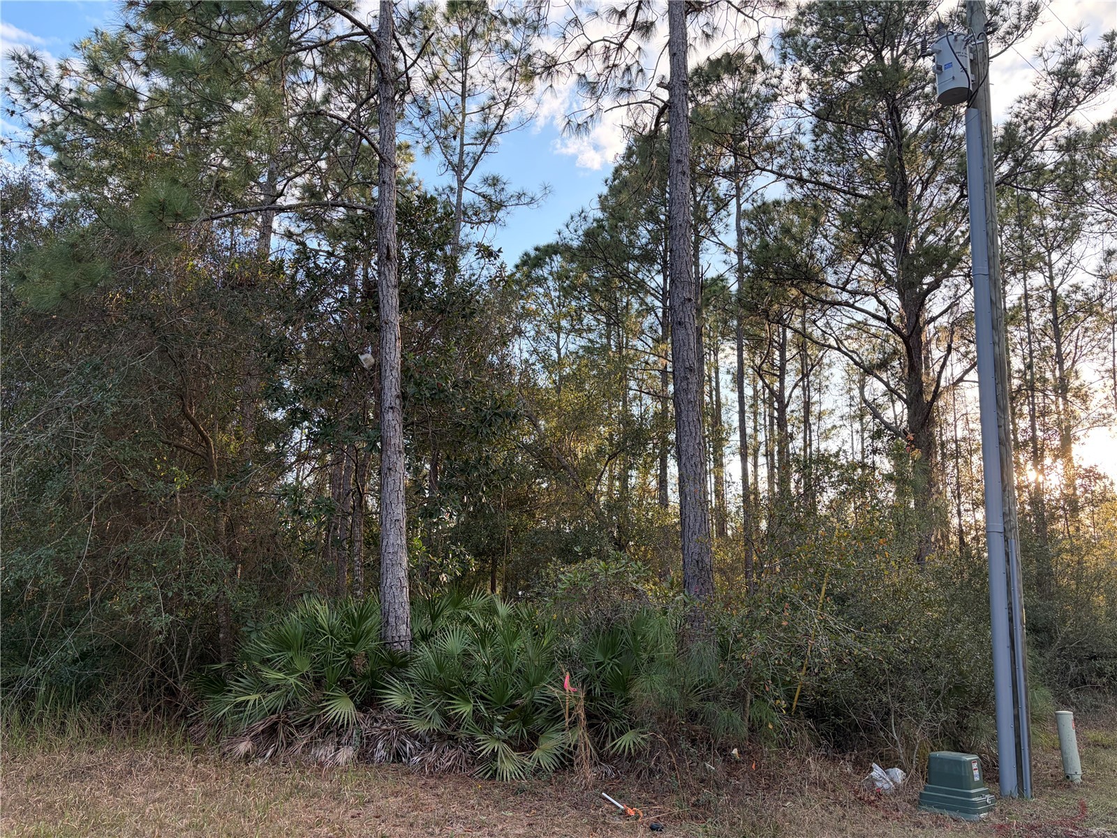 Oil Well Road Clermont FL 34714 G5107164 image1