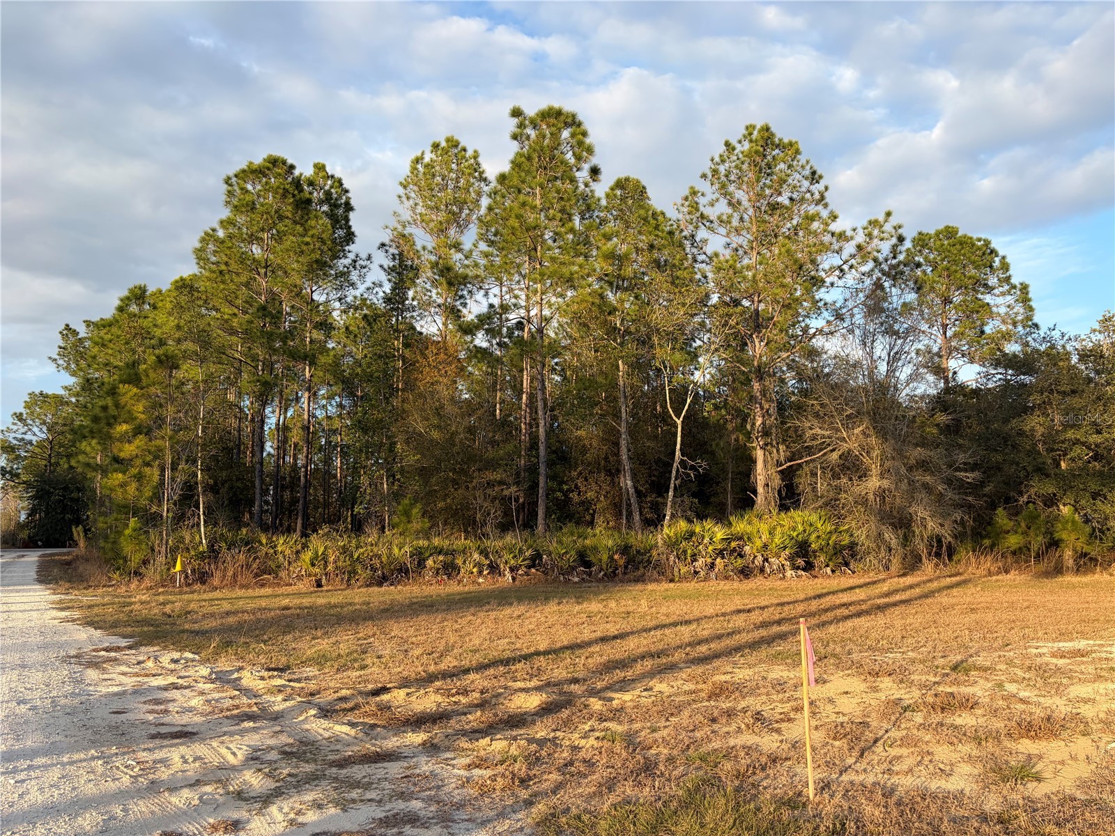 Oil Well Road Clermont FL 34714 G5107164 image10