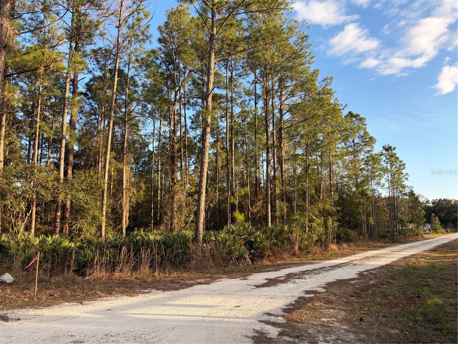Oil Well Road Clermont FL 34714 G5107164 image11