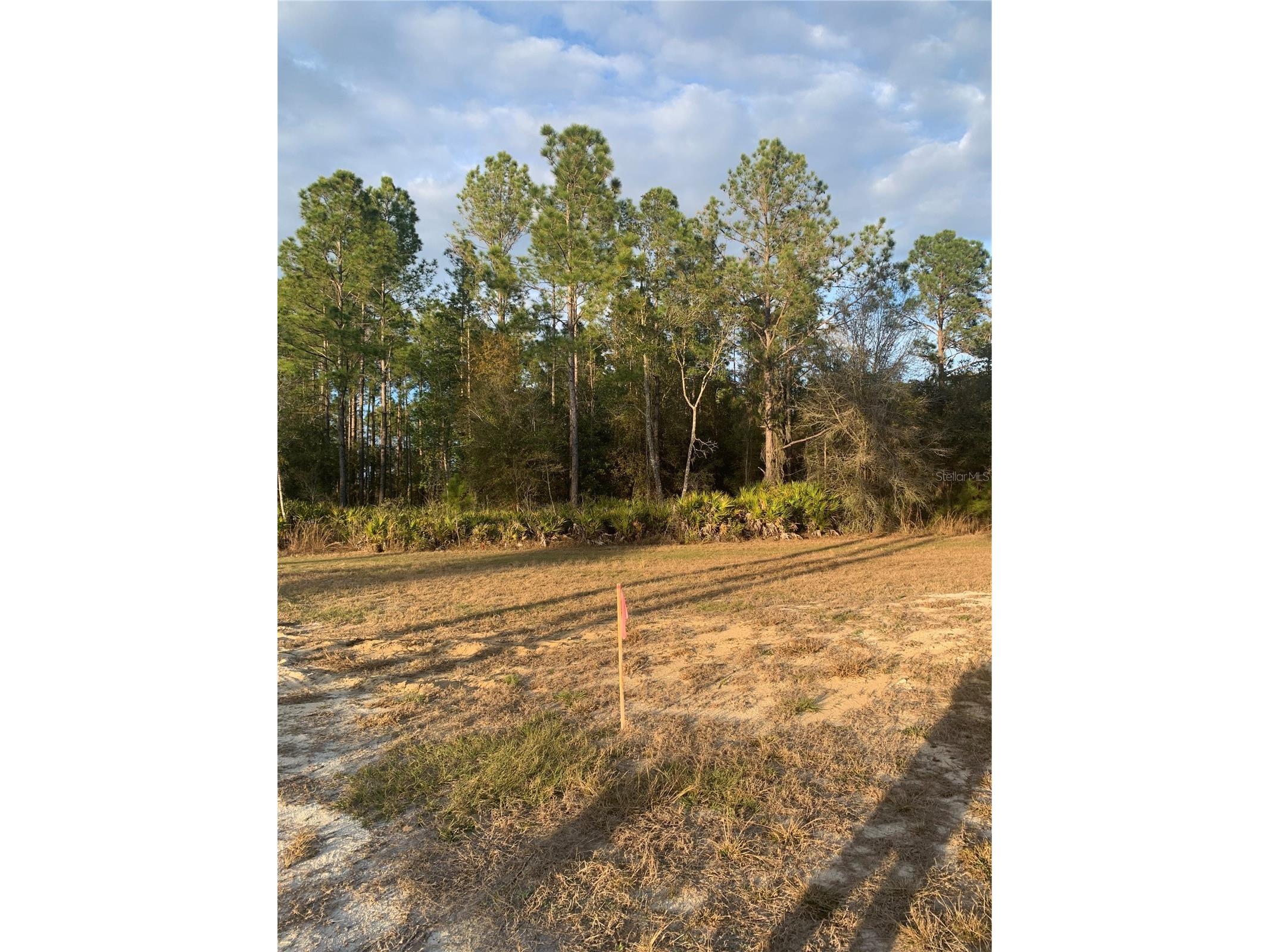 Oil Well Road Clermont FL 34714 G5107164 image12