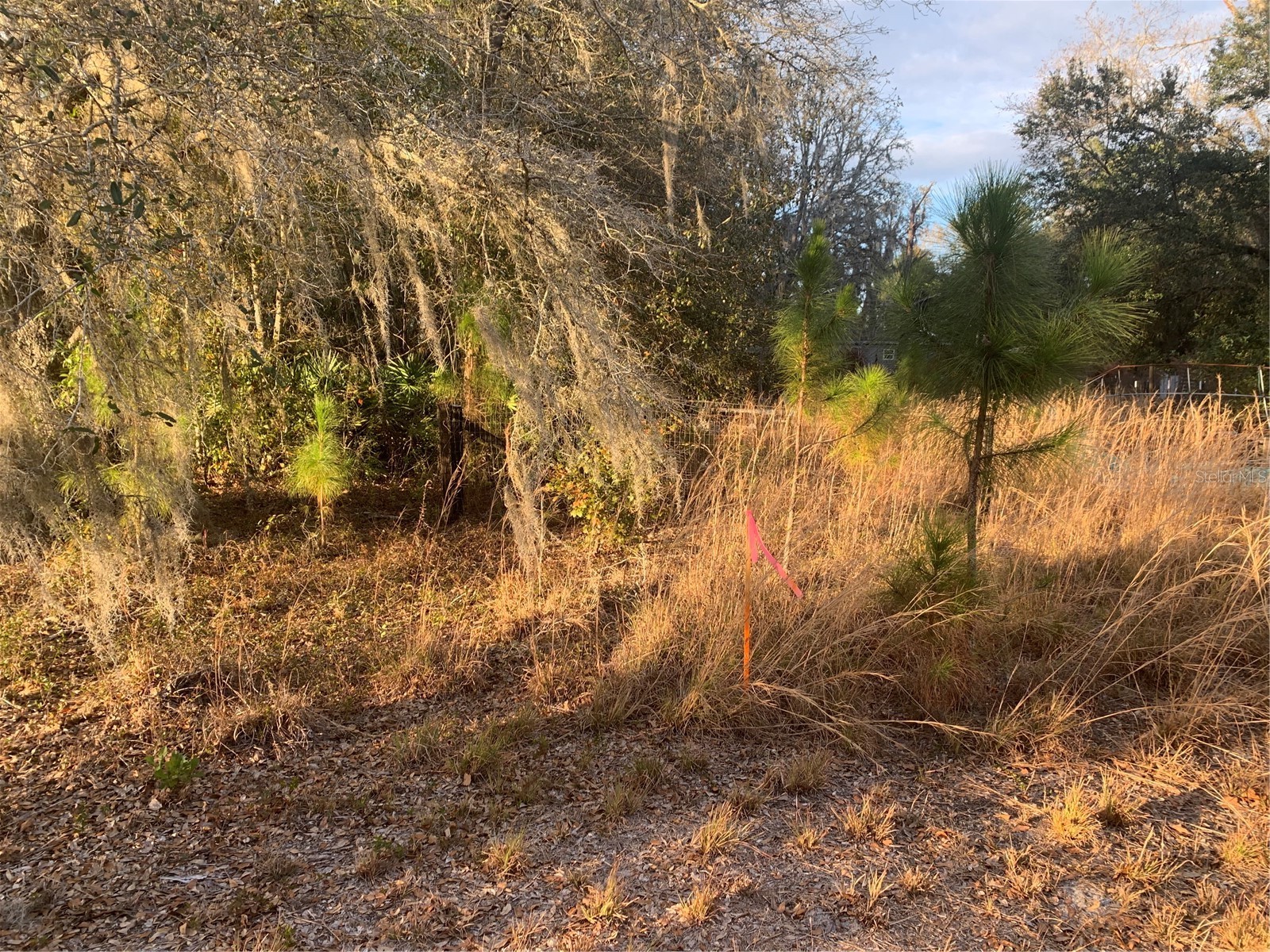 Oil Well Road Clermont FL 34714 G5107164 image13