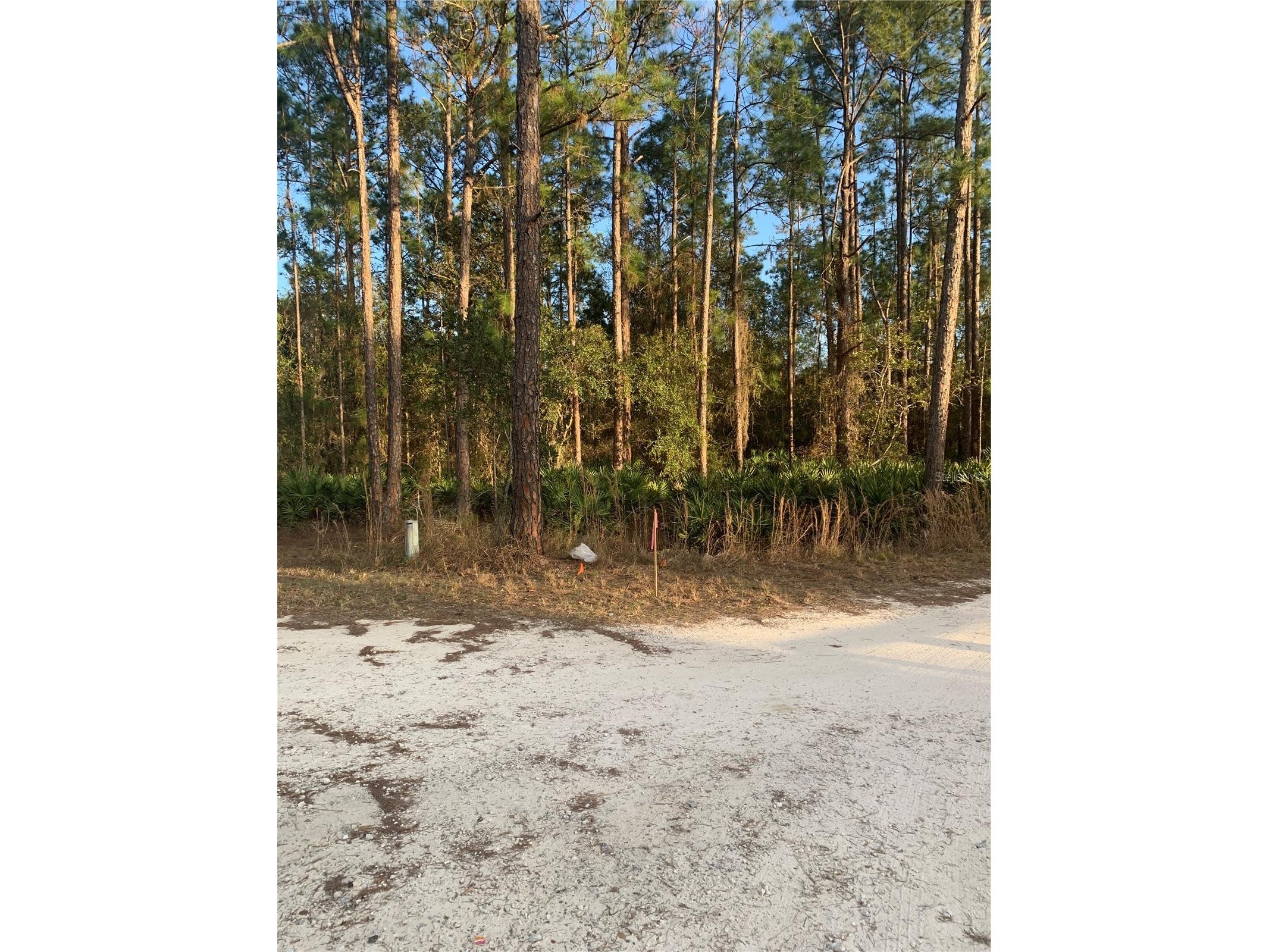 Oil Well Road Clermont FL 34714 G5107164 image14