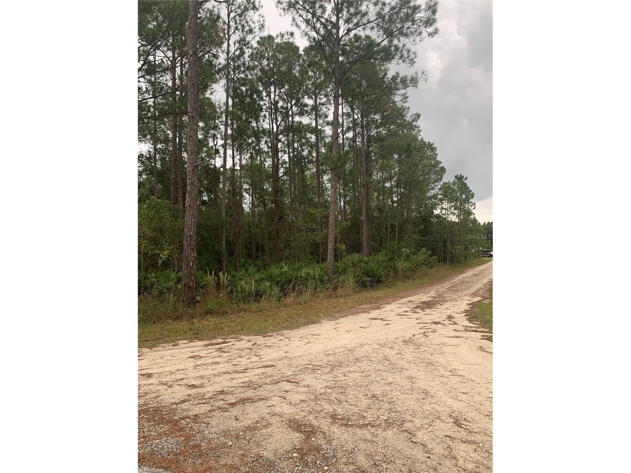 Oil Well Road Clermont FL 34714 G5107164 image2