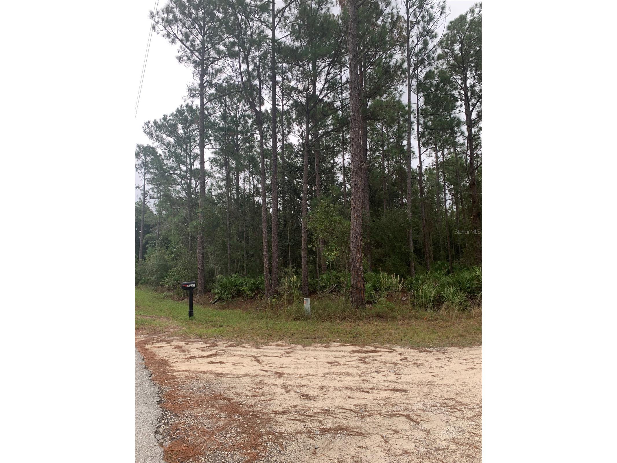 Oil Well Road Clermont FL 34714 G5107164 image3
