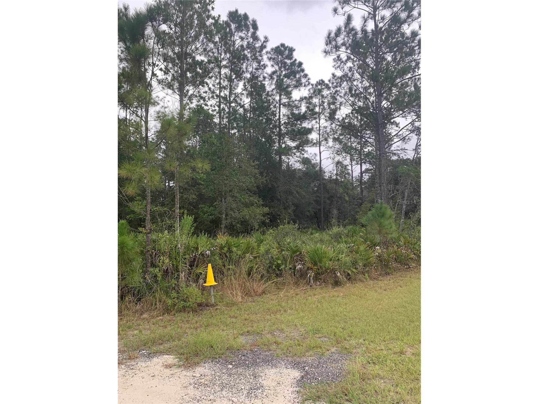 Oil Well Road Clermont FL 34714 G5107164 image4