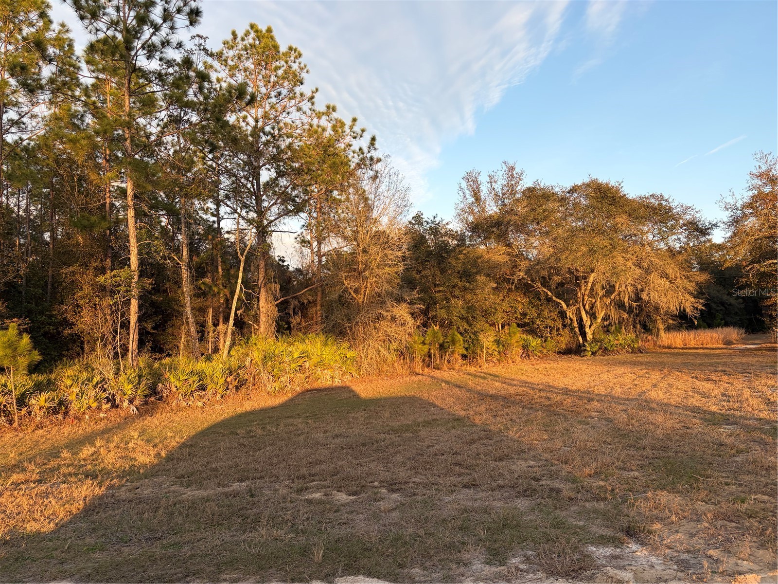 Oil Well Road Clermont FL 34714 G5107164 image6