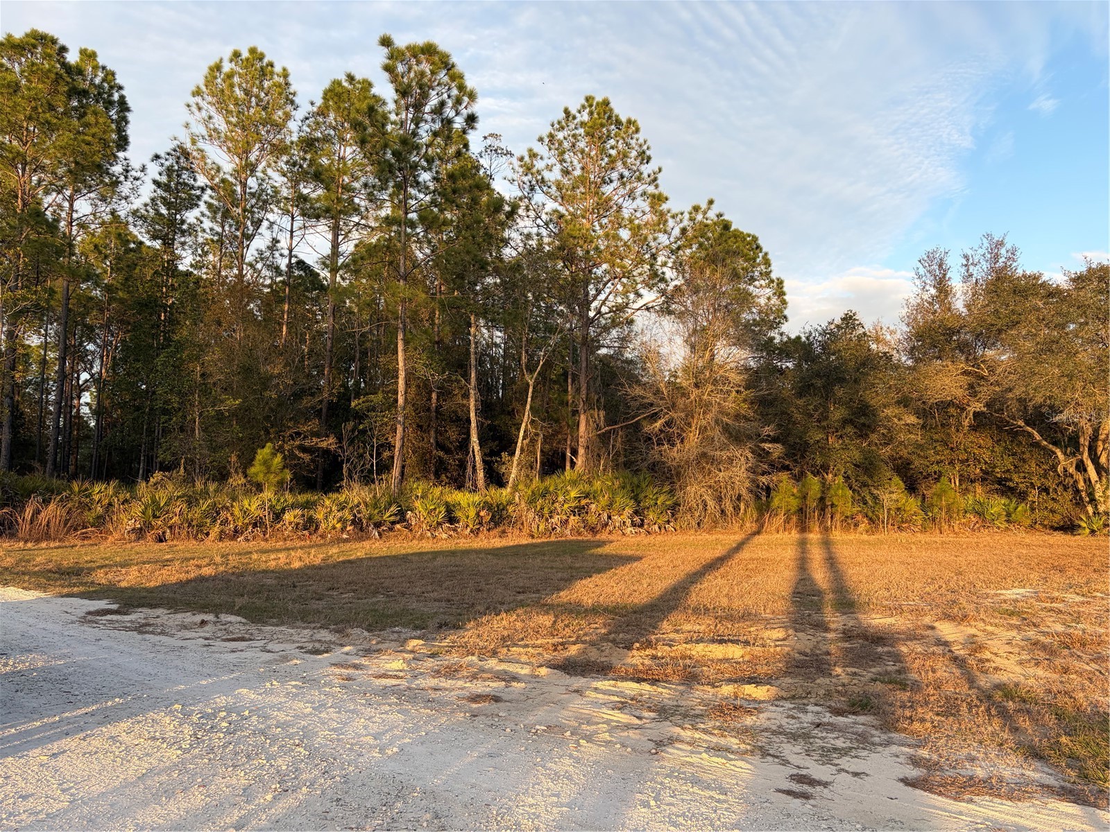 Oil Well Road Clermont FL 34714 G5107164 image7