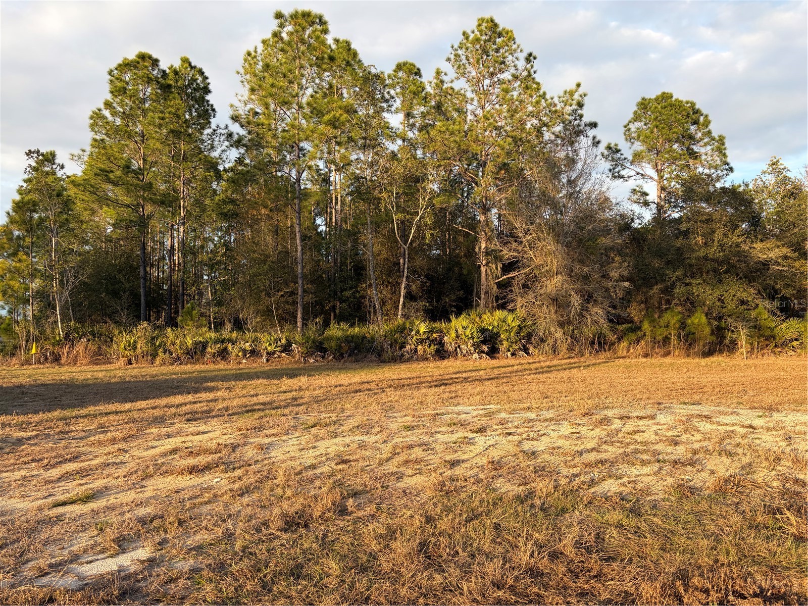 Oil Well Road Clermont FL 34714 G5107164 image8