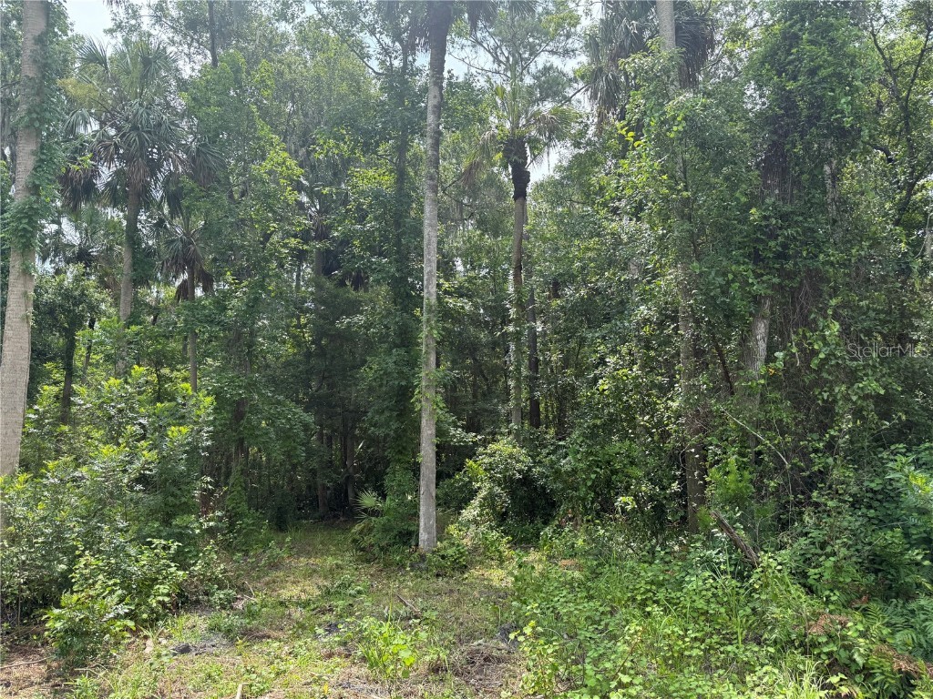 Okaloosa Trail Sorrento FL 32776 - WEKIVA RIVER O6314611 image2