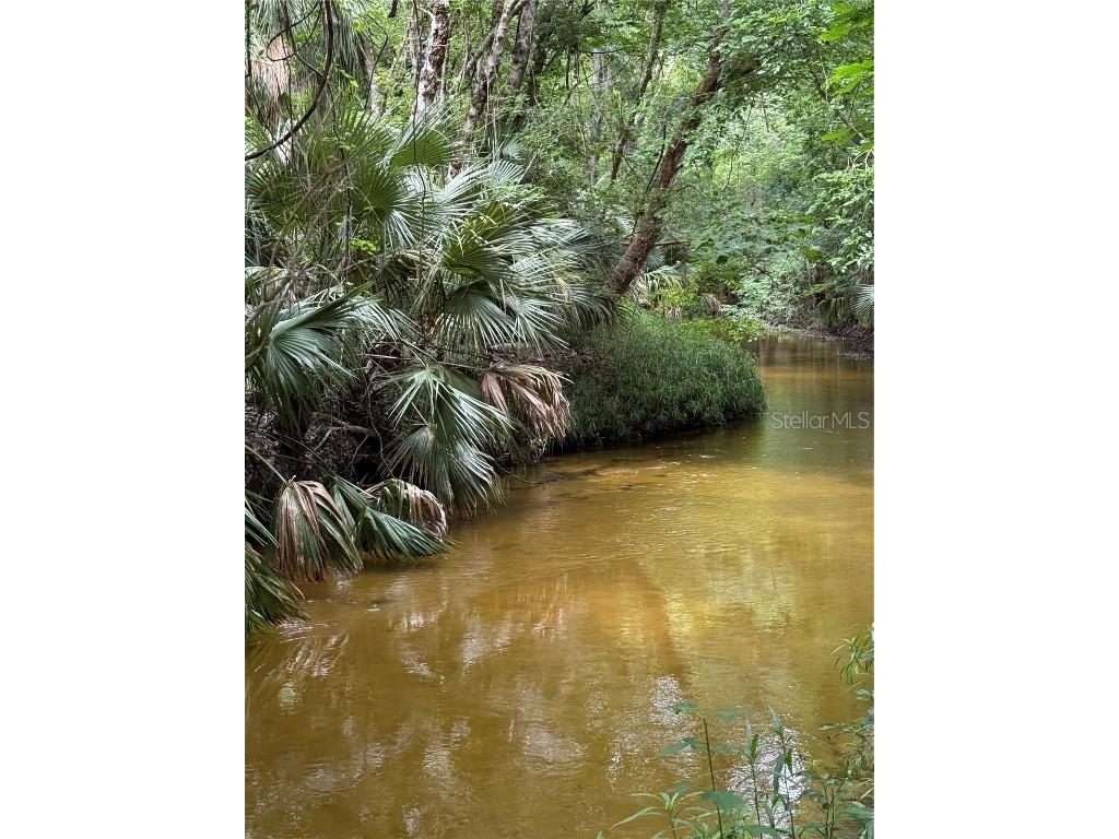 Okaloosa Trail Sorrento FL 32776 - WEKIVA RIVER O6314611 image4