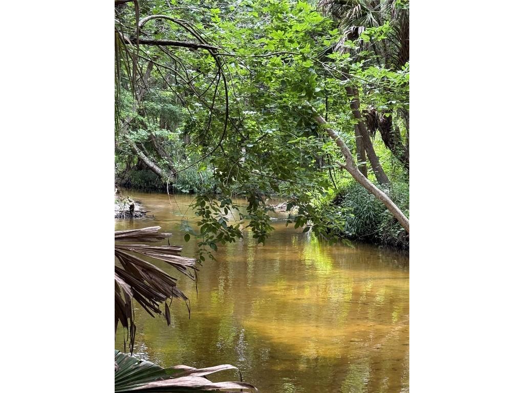 Okaloosa Trail Sorrento FL 32776 - WEKIVA RIVER O6314611 image5