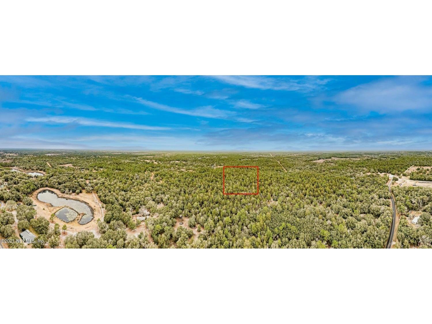 Old Bellamy Trail Melrose FL 32666 TB8455215 image10