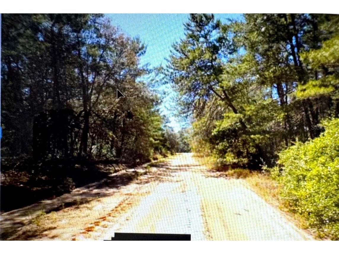 Old Bellamy Trail Melrose FL 32666 TB8455215 image3