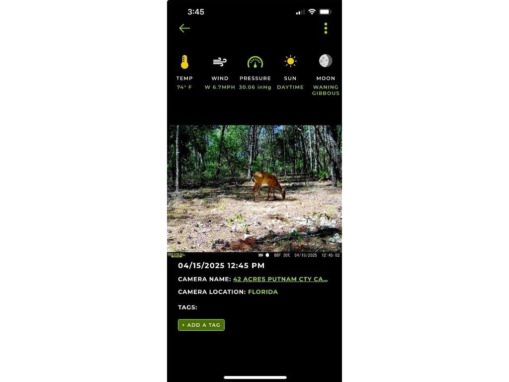 Old Bellamy Trail Melrose FL 32666 TB8455215 image6