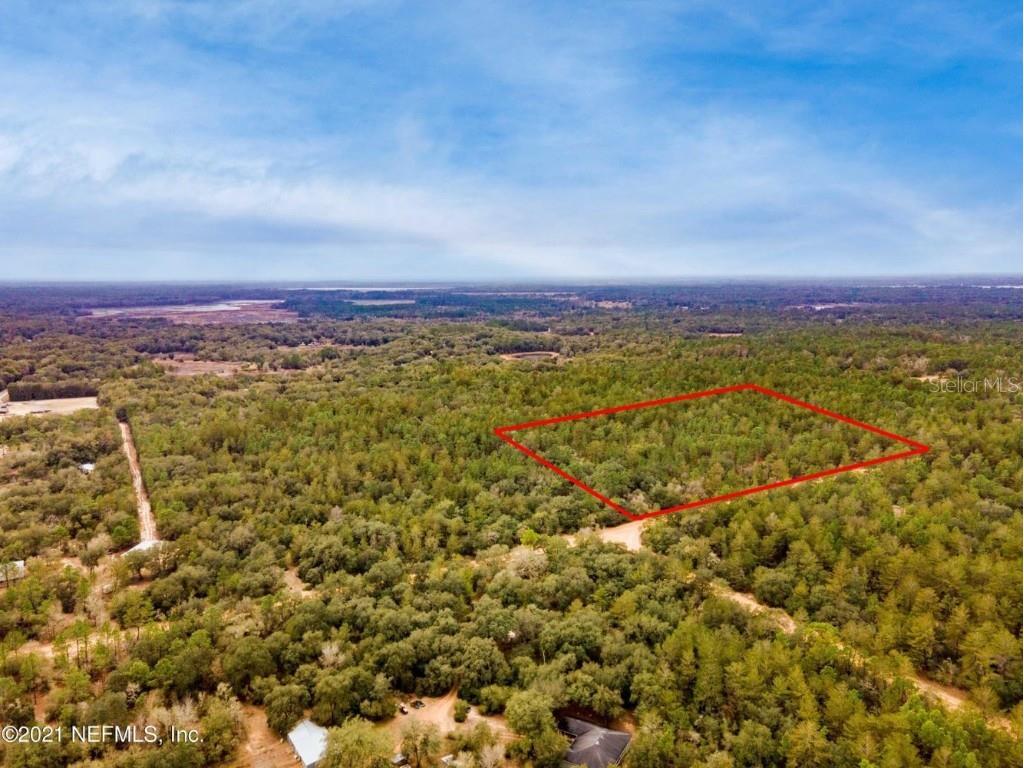 Old Bellamy Trail Melrose FL 32666 TB8455215 image7