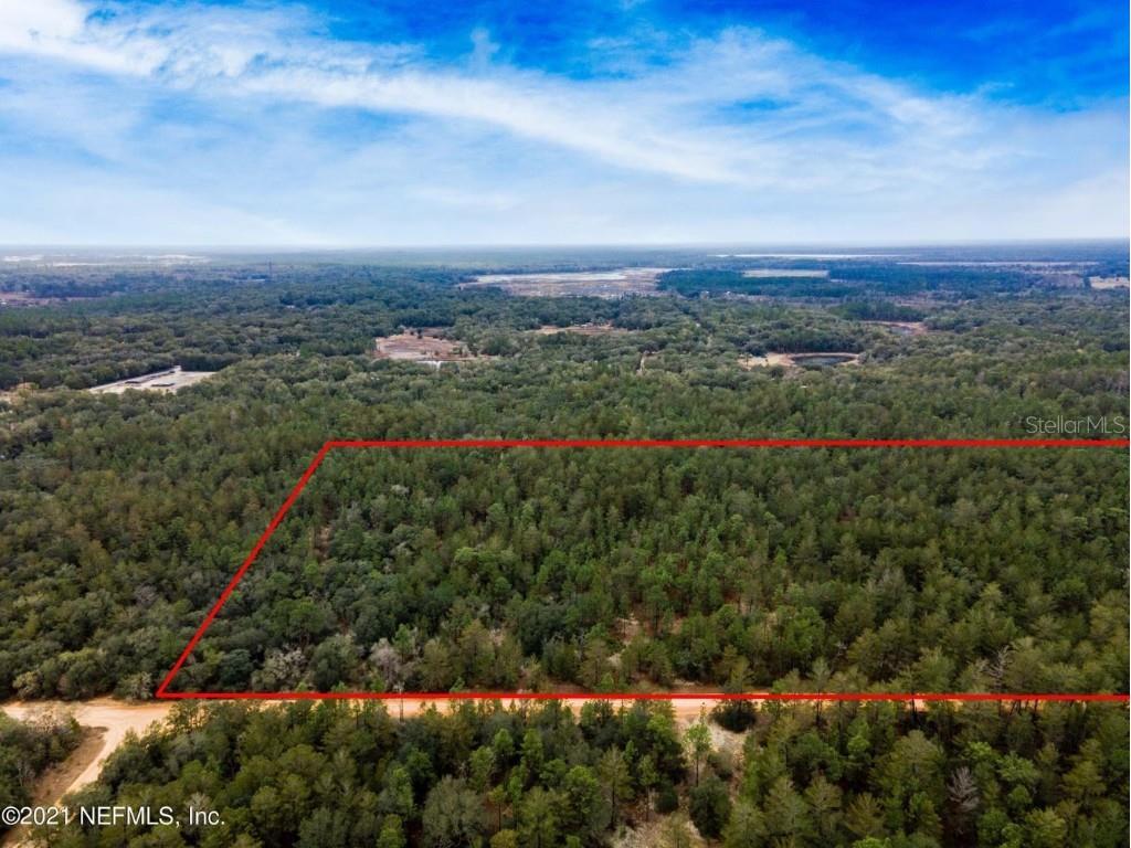 Old Bellamy Trail Melrose FL 32666 TB8455215 image9