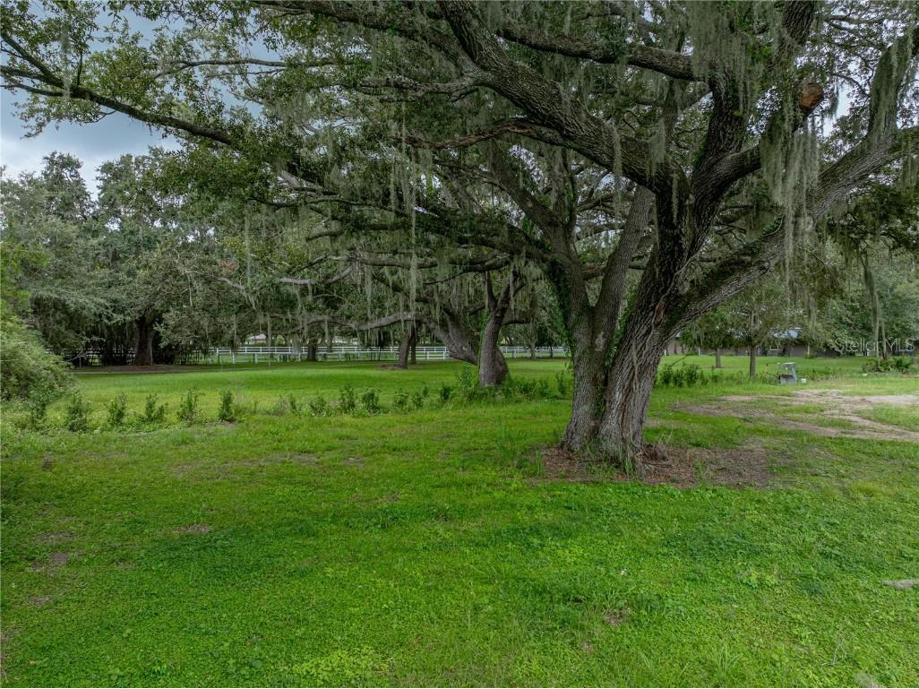 Old Berkley Road Auburndale FL 33823 L4956698 image9
