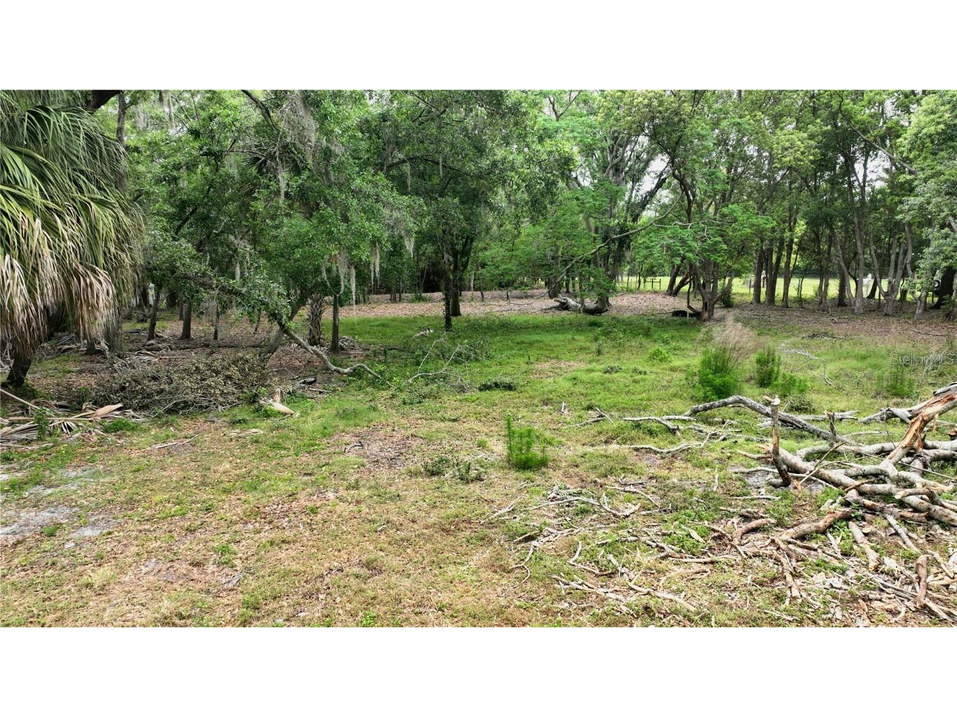 Old Cone Grove Road Riverview FL 33578 A4638551 image4