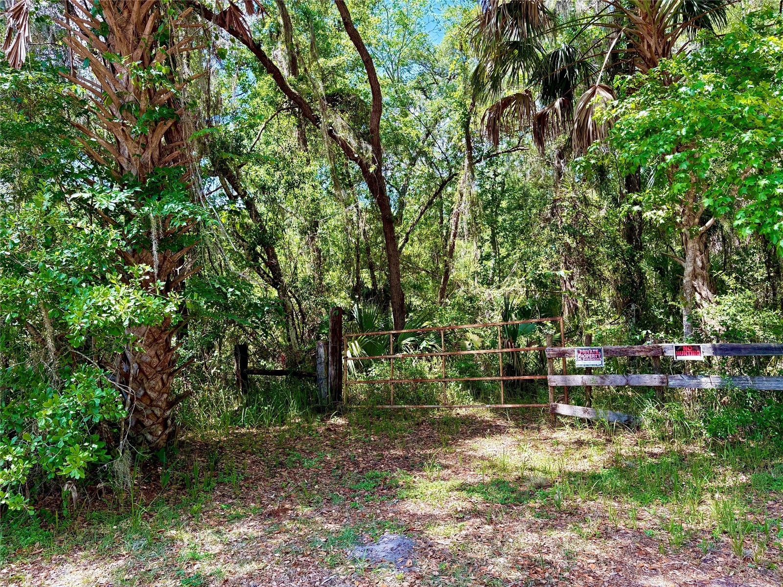 Old Crystal River Road Brooksville FL 34601 OM725645 image1