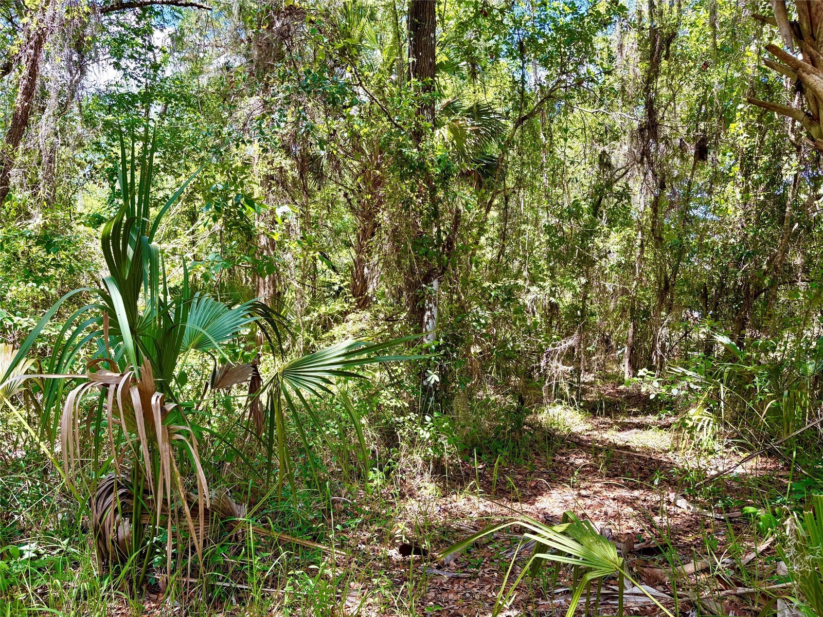 Old Crystal River Road Brooksville FL 34601 OM725645 image2