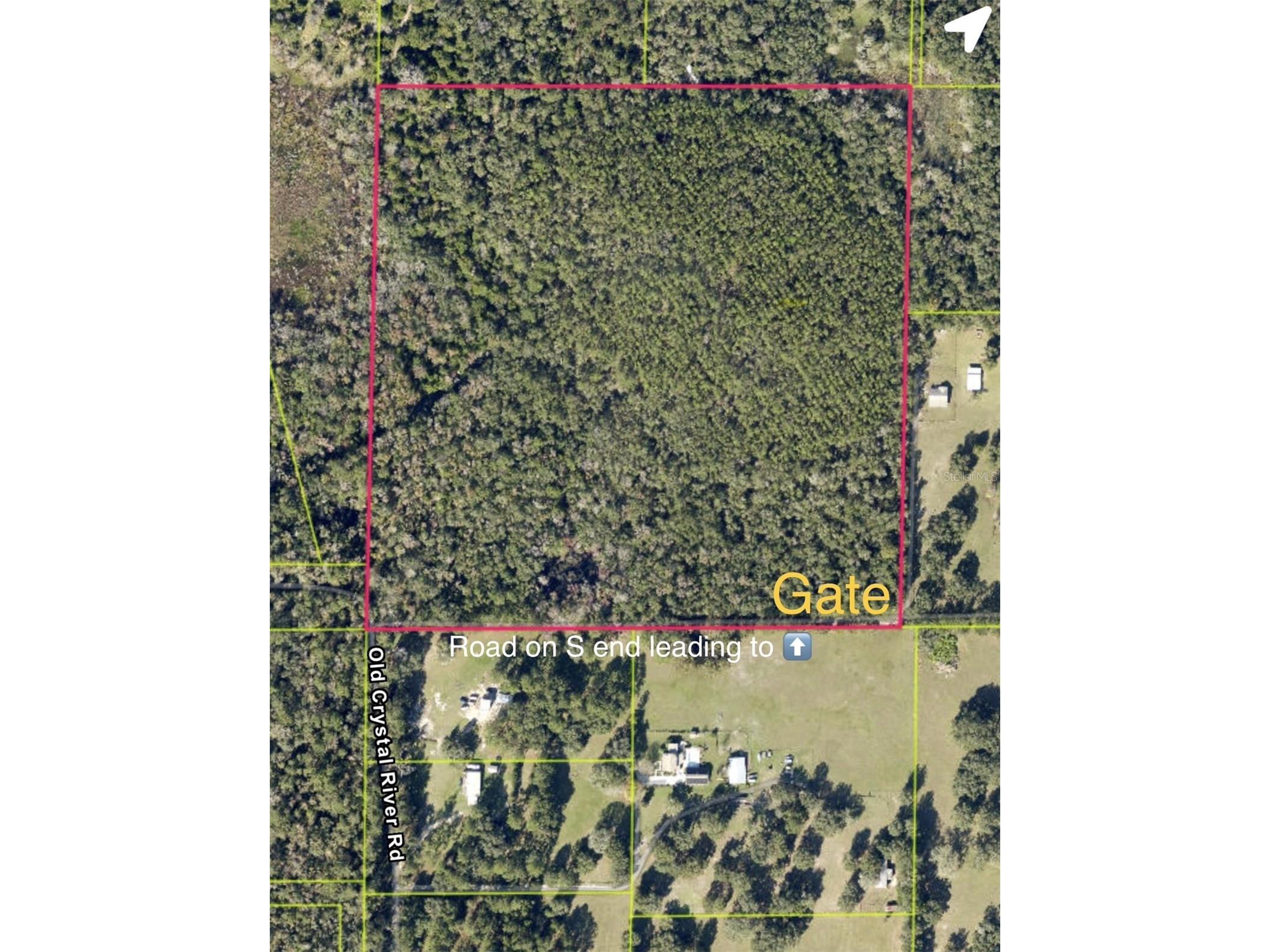 Old Crystal River Road Brooksville FL 34601 OM725645 image3