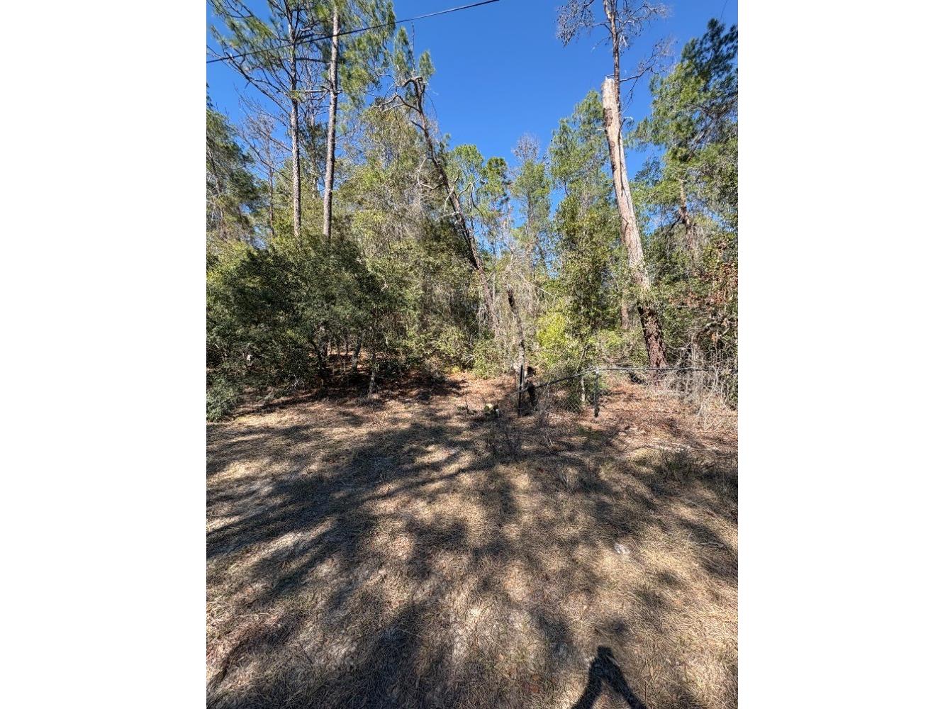 Old Deer Road Paisley FL 32767 A4682222 image1