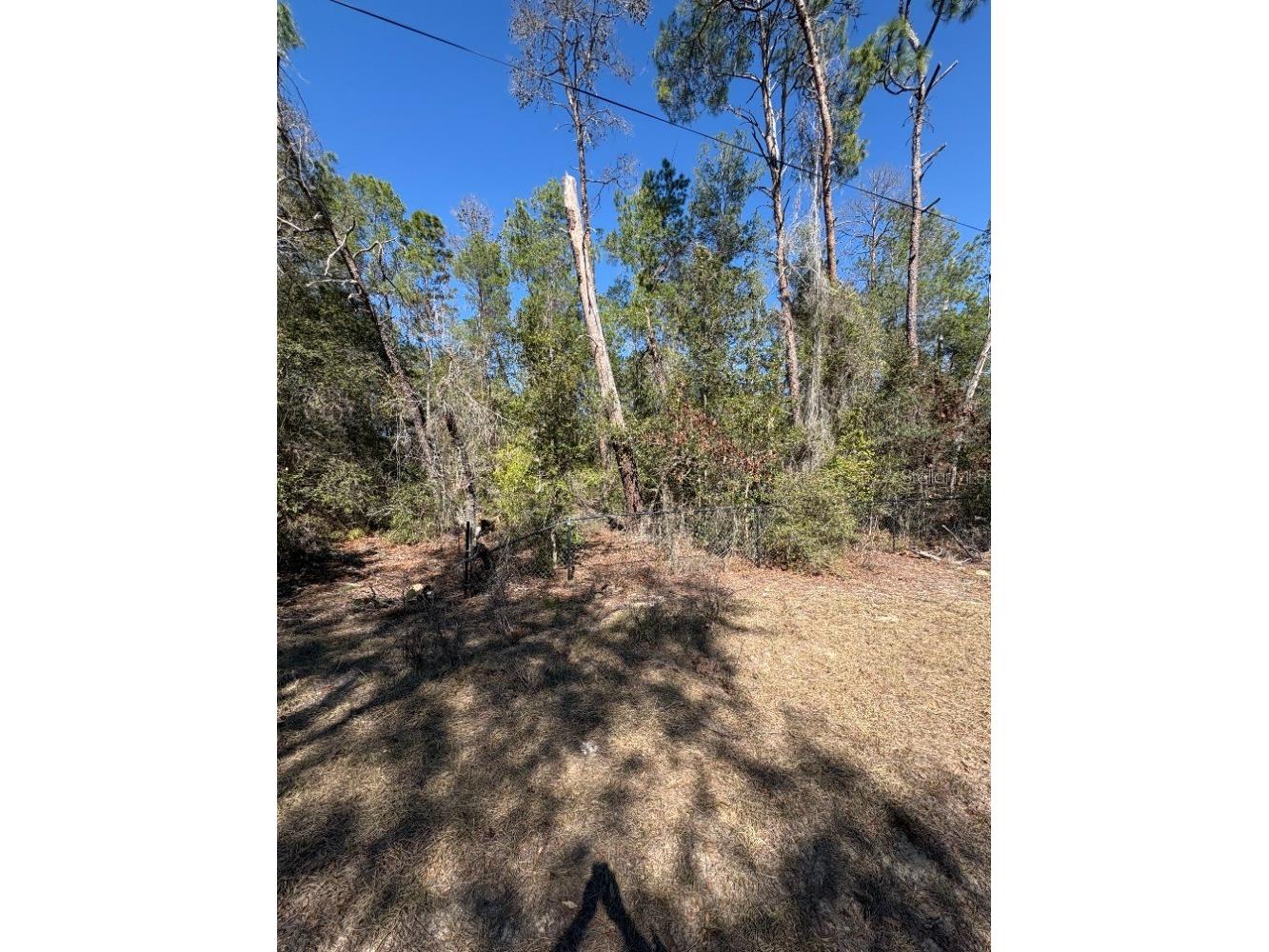 Old Deer Road Paisley FL 32767 A4682222 image3