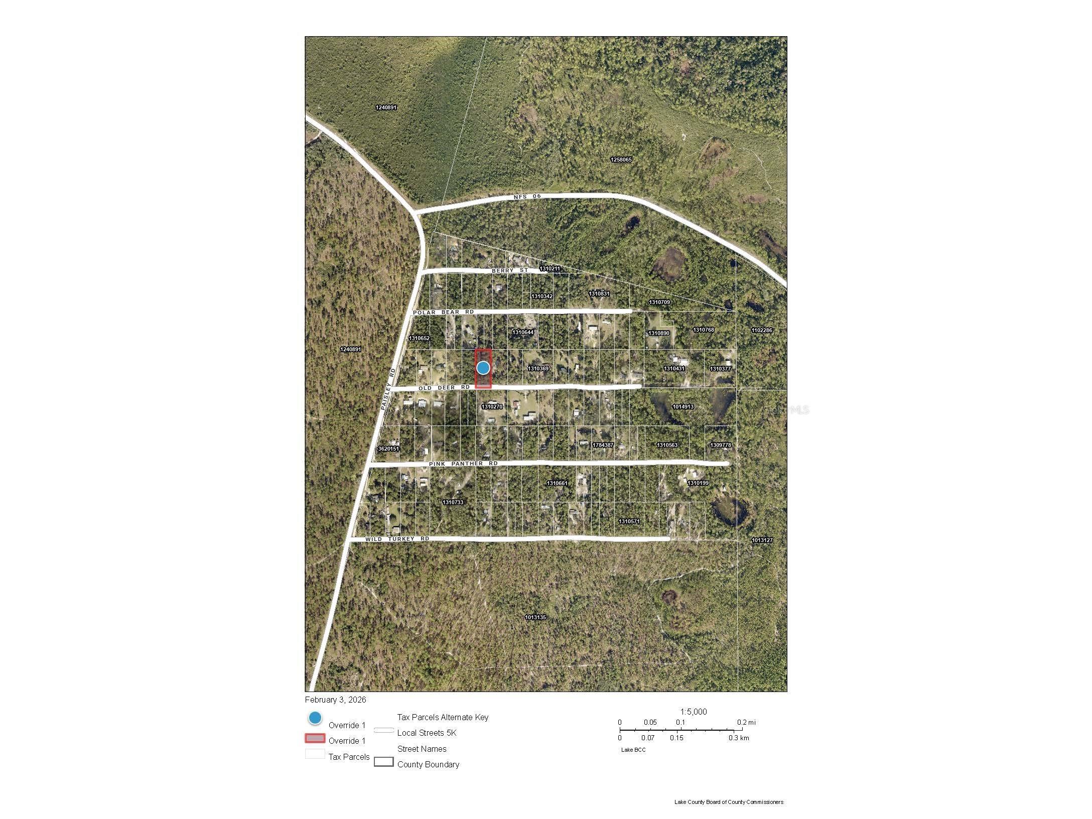 Old Deer Road Paisley FL 32767 A4682222 image5