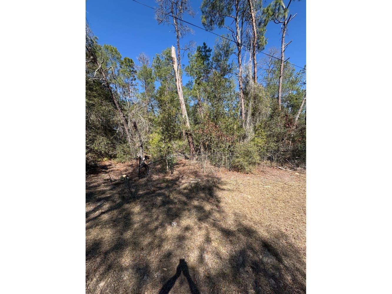 Old Deer Road Paisley FL 32767 A4682222 image6