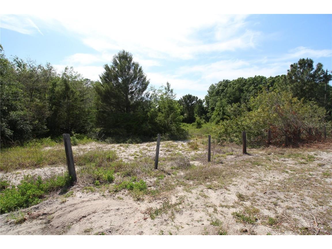 Old East Lake Tarpon Springs FL 34688 TB8379731 image12