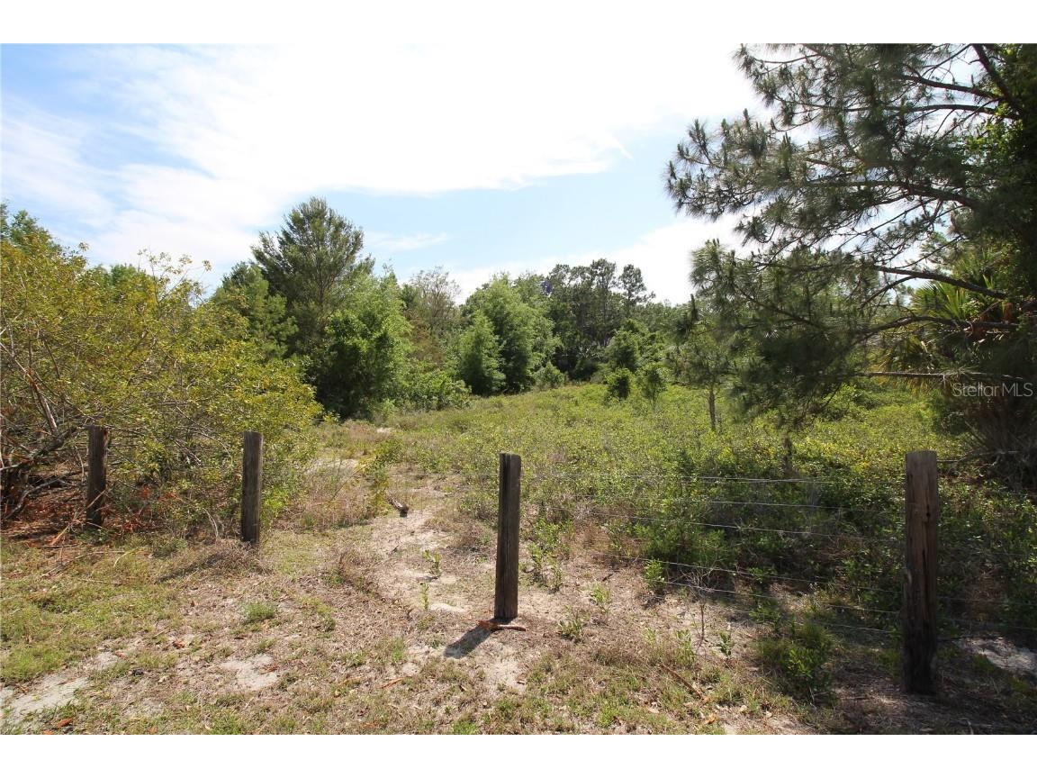 Old East Lake Tarpon Springs FL 34688 TB8379731 image13