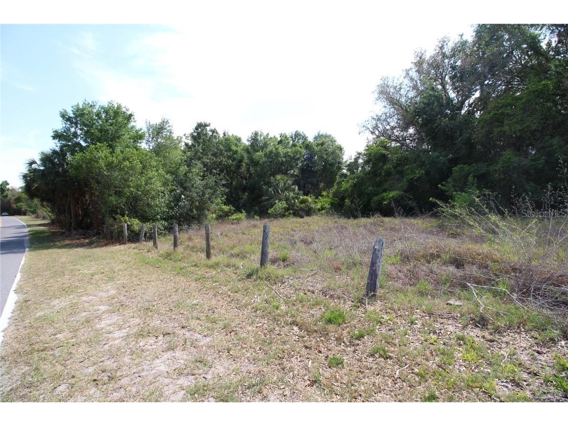 Old East Lake Tarpon Springs FL 34688 TB8379731 image15