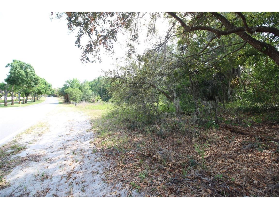 Old East Lake Tarpon Springs FL 34688 TB8379731 image16