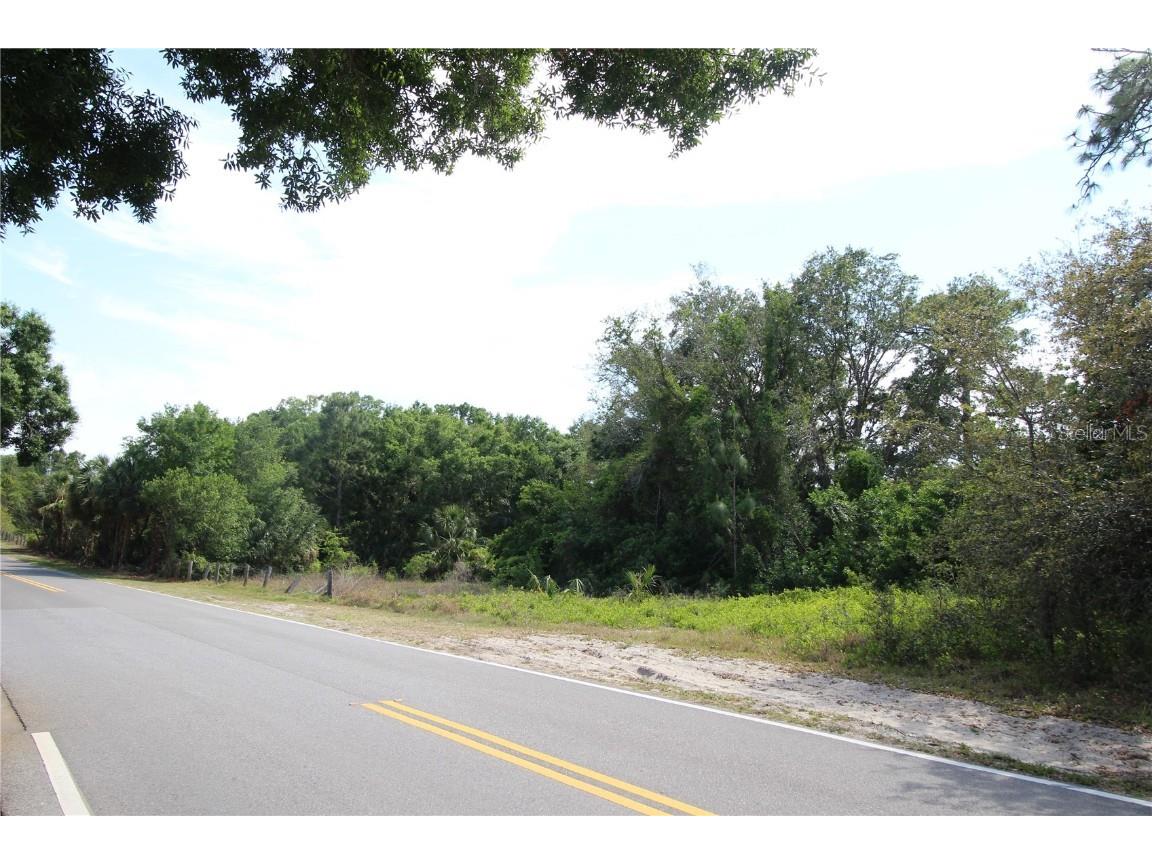 Old East Lake Tarpon Springs FL 34688 TB8379731 image19