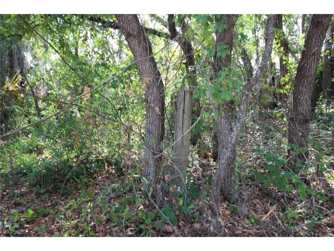 Old East Lake Tarpon Springs FL 34688 TB8379731 image20