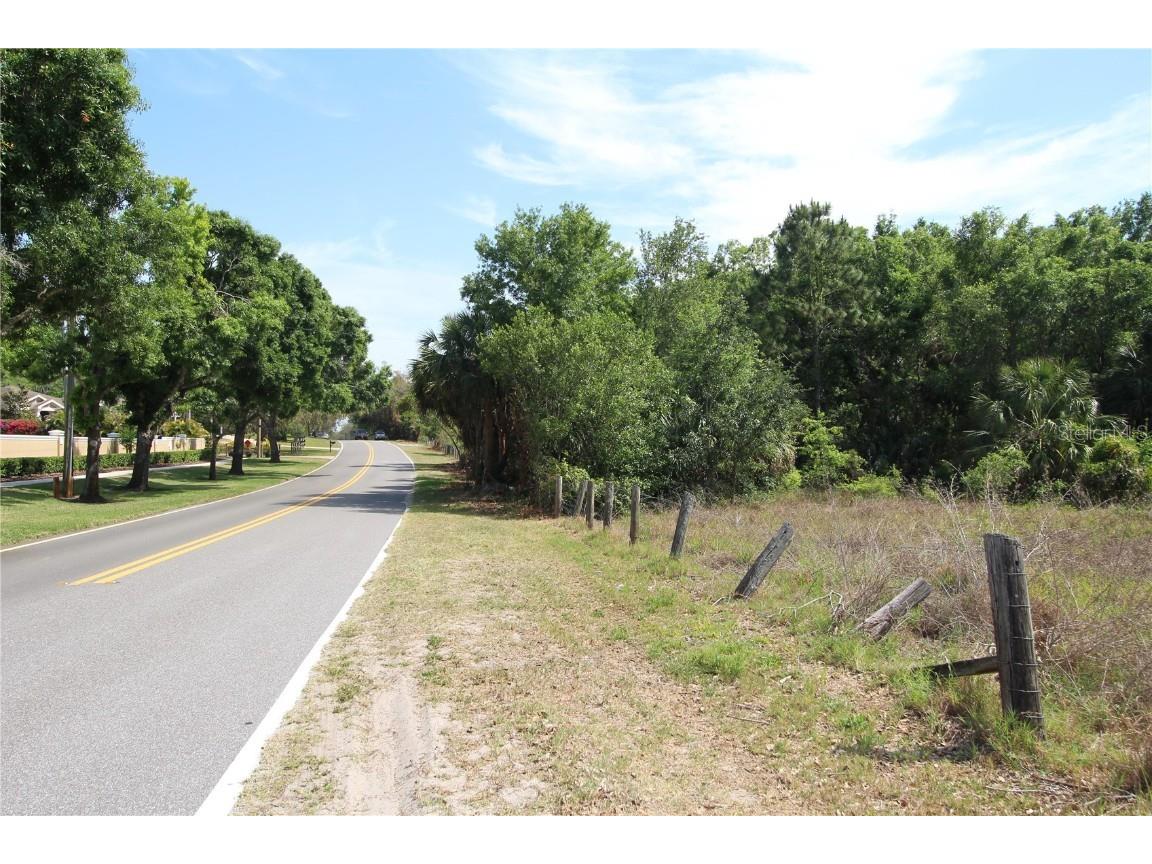 Old East Lake Tarpon Springs FL 34688 TB8379731 image21