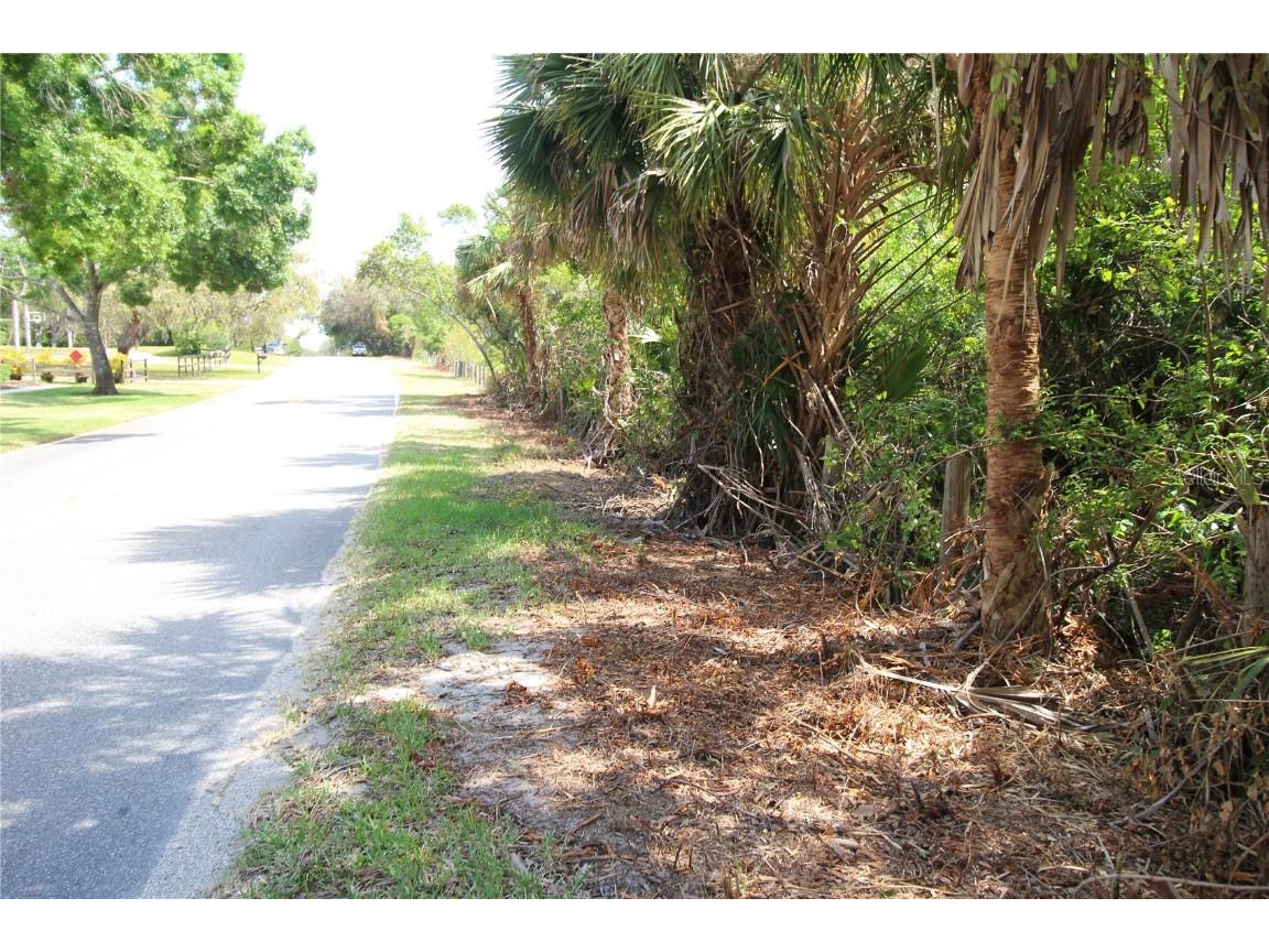 Old East Lake Tarpon Springs FL 34688 TB8379731 image22