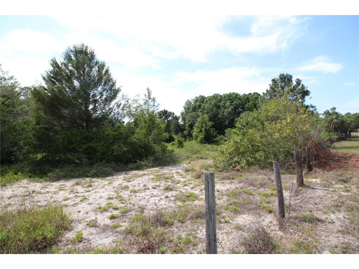 Old East Lake Tarpon Springs FL 34688 TB8379731 image23