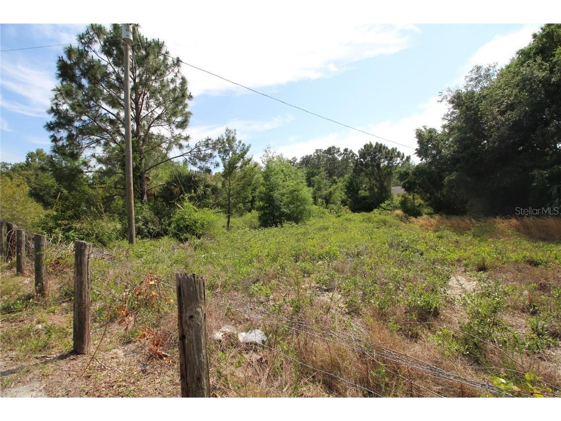 Old East Lake Tarpon Springs FL 34688 TB8379731 image5