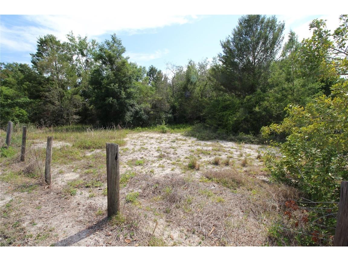 Old East Lake Tarpon Springs FL 34688 TB8379731 image6