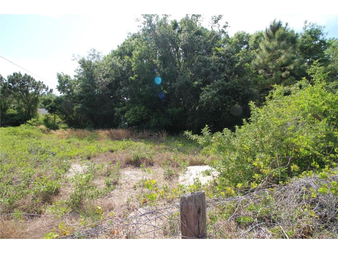 Old East Lake Tarpon Springs FL 34688 TB8379731 image7