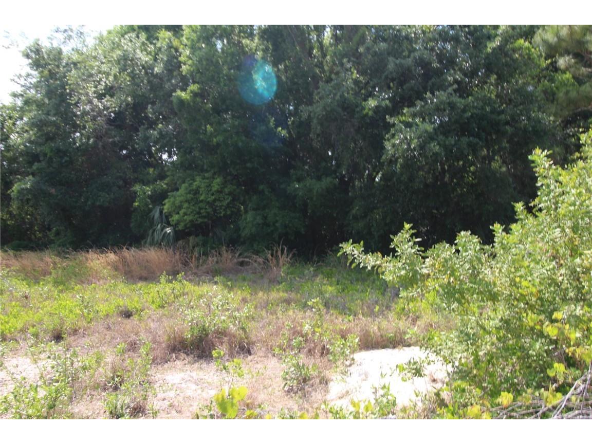 Old East Lake Tarpon Springs FL 34688 TB8379731 image8