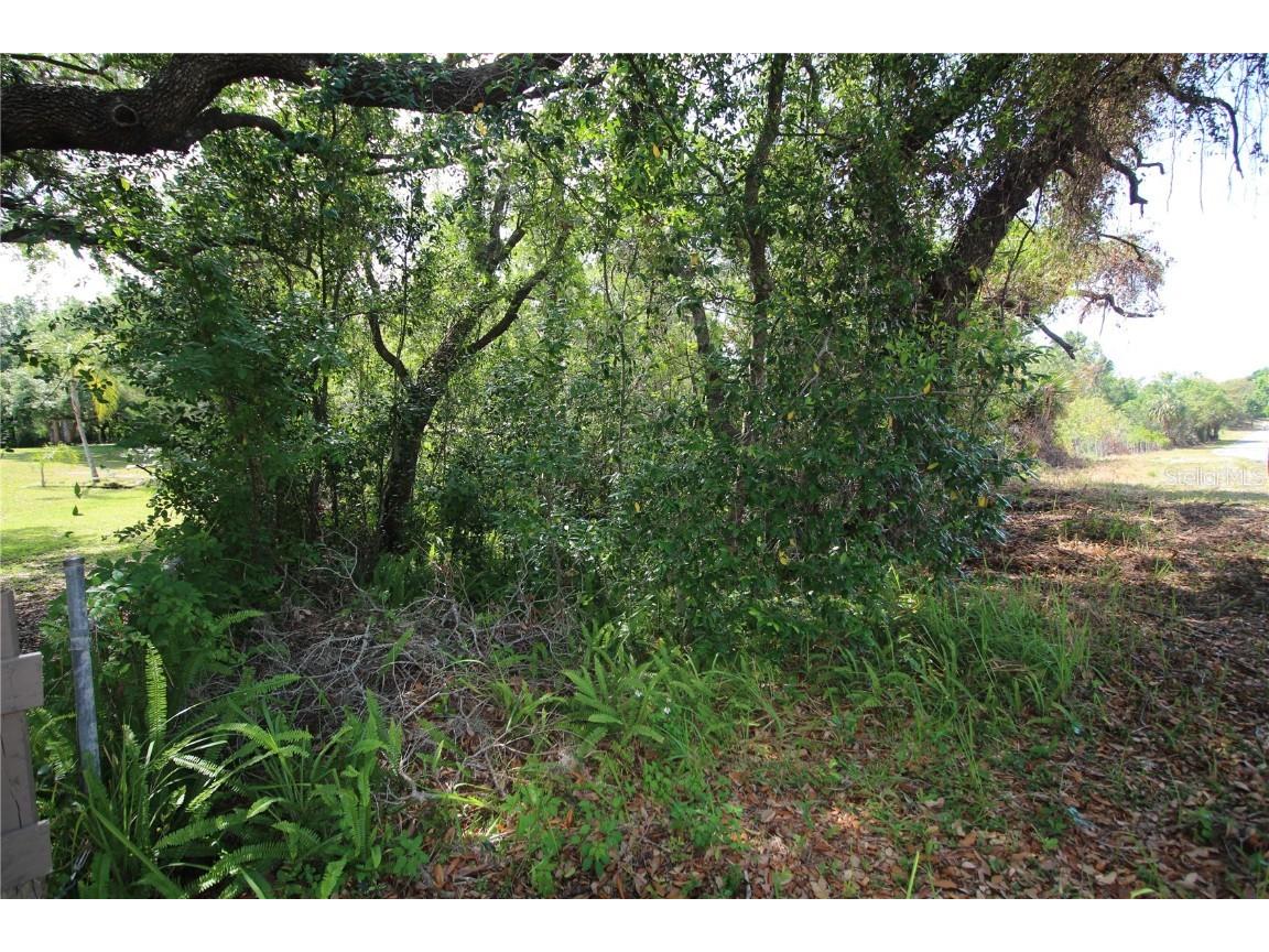 Old East Lake Tarpon Springs FL 34688 TB8379731 image9