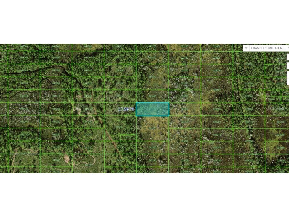 Old Grade Rd Polk City FL 33868 O6265124 image2