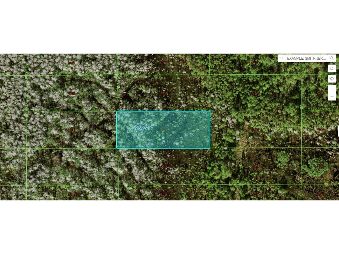 Old Grade Rd Polk City FL 33868 O6265125 image1